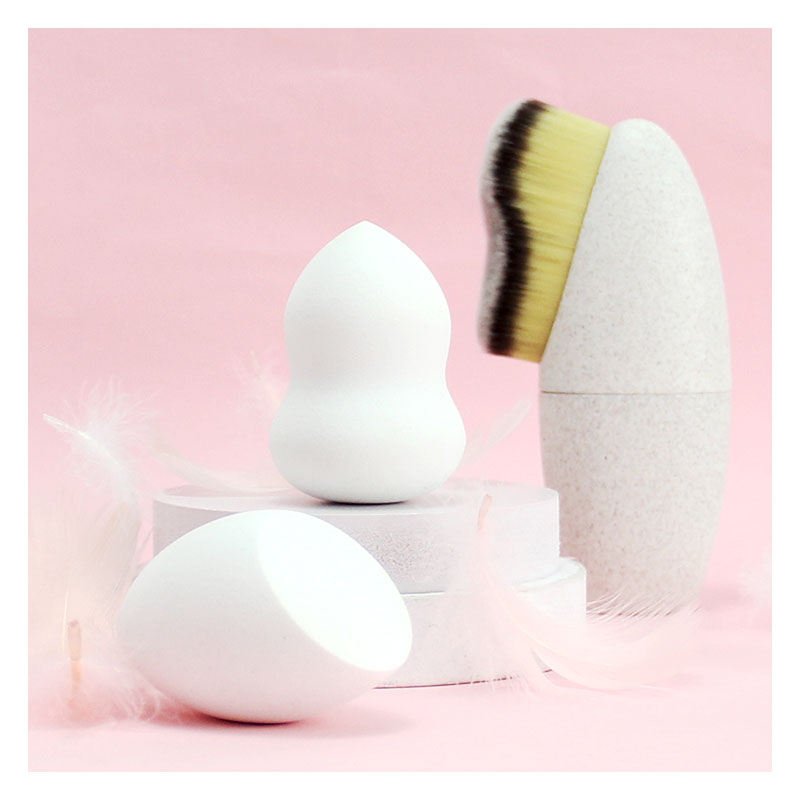 Facial Brush and Makeup Sponge Set.