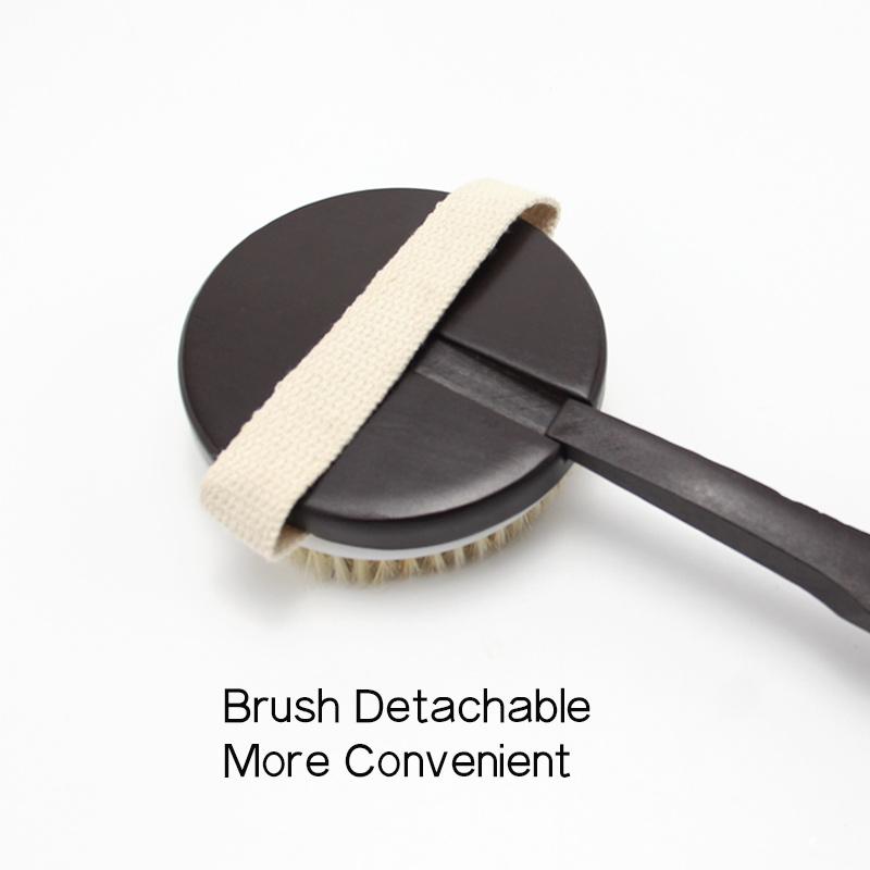 Exfoliating Back Brush BAB 10186.