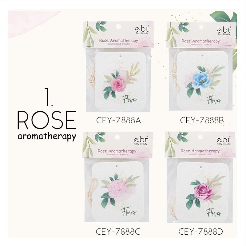 Aromatherapy compressed sponges SET 1... 1