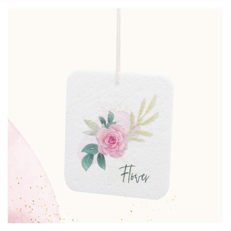 Aromatherapy compressed sponges SET 1.