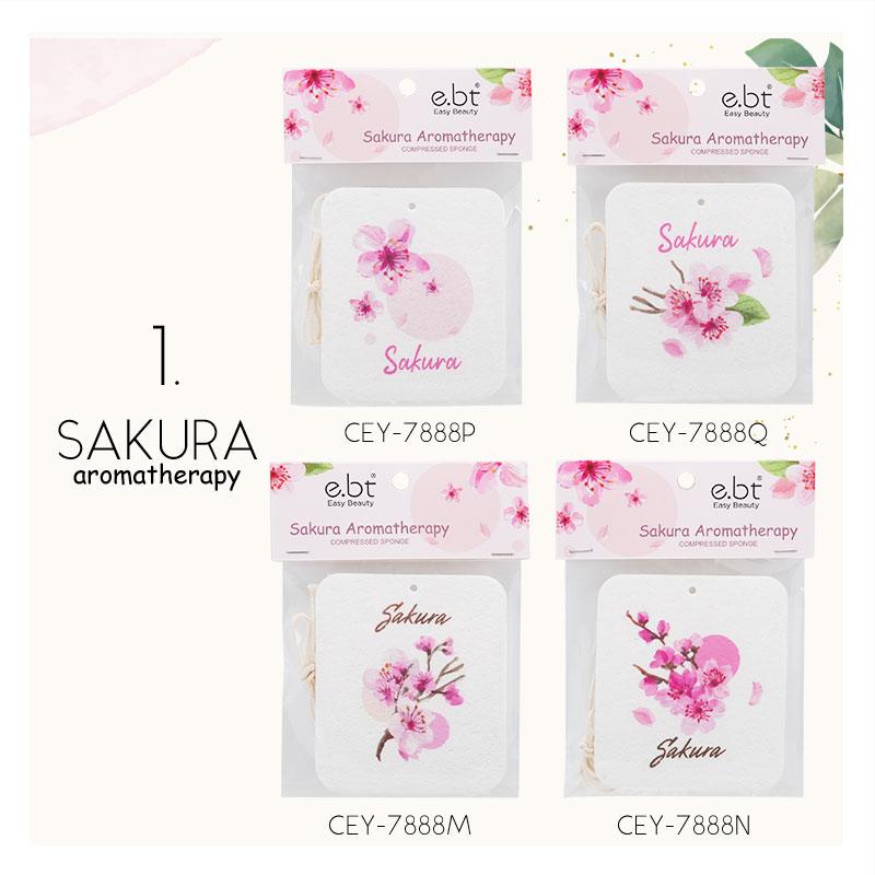 Aromatherapy compressed sponges SET 2... 1