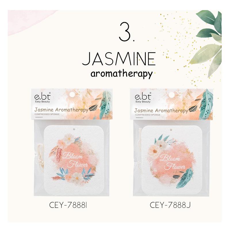 Aromatherapy compressed sponges SET 2.....